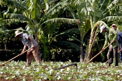 Agricultores por el avance