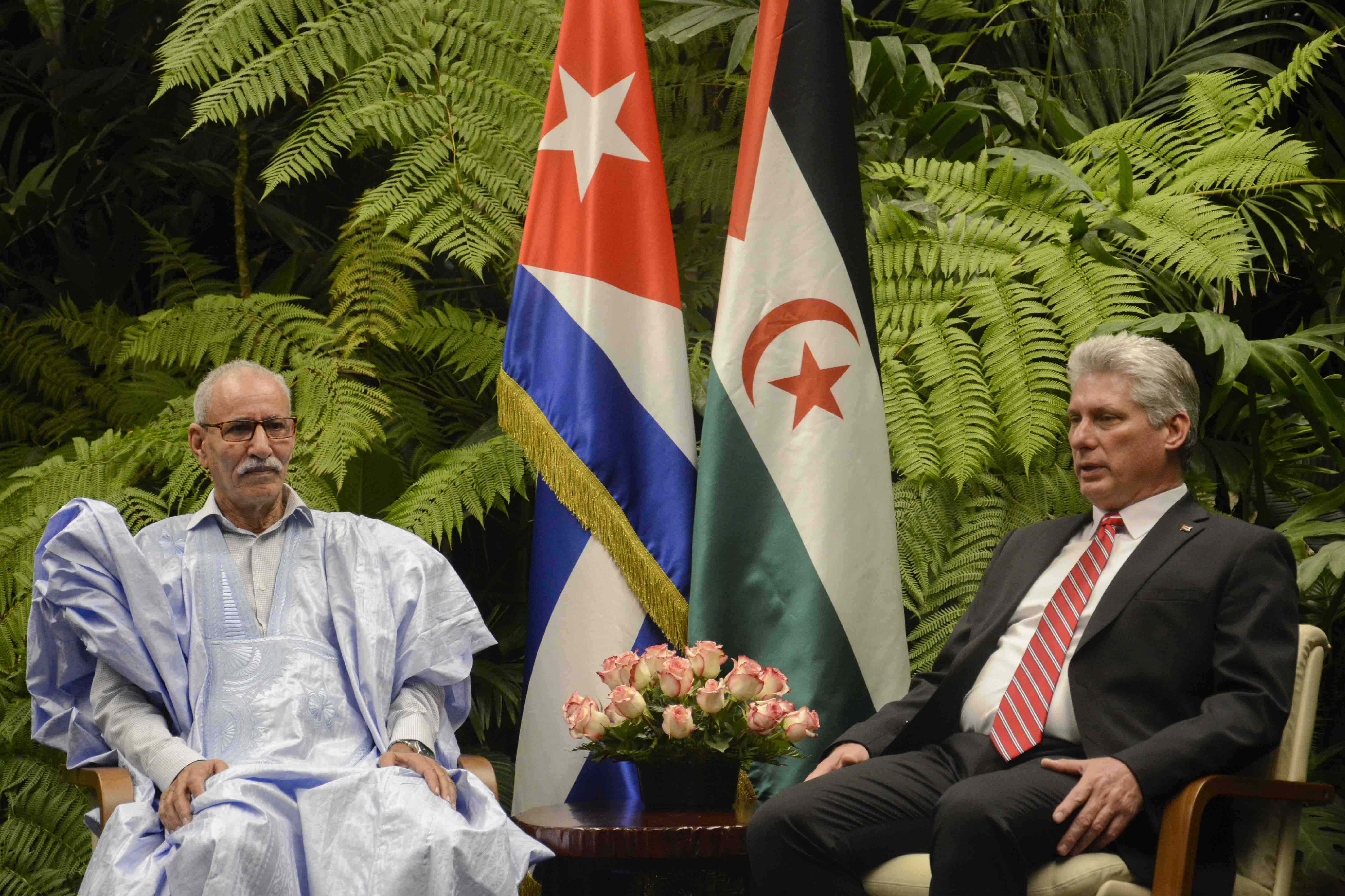Miguel Díaz-Canel (D), Presidente de los Consejos de Estado y de Ministros, y Brahim Gali, Presidente de la República Árabe Saharaui Democrática, sostienen conversaciones oficiales, en el Palacio de la Revolución, en La Habana, el 4 de diciembre de 2018. ACN FOTO/Ariel LEY ROYERO/sdl