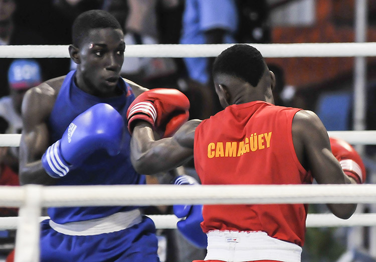 El camagüeyano Damián Arce cantó victoria en los 49 kilos. Foto: José Raúl Rodríguez Robleda