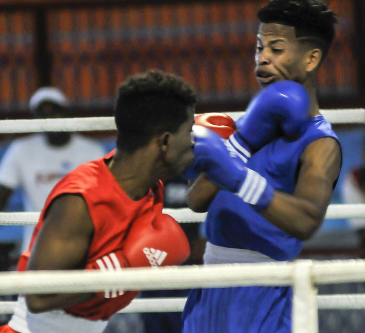 Primera Carteleradel boxeo nacional. Foto José Raúl Rodríguez