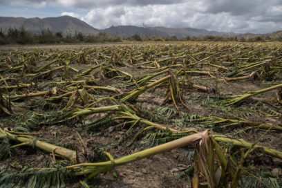 Cambio climático impacta gravemente la salud humana