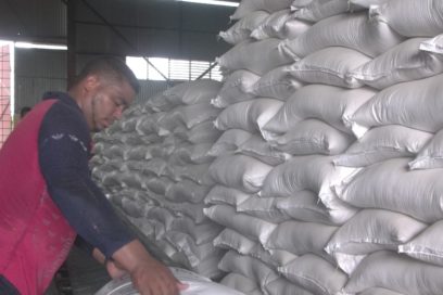 Menos materias extrañas en el arroz