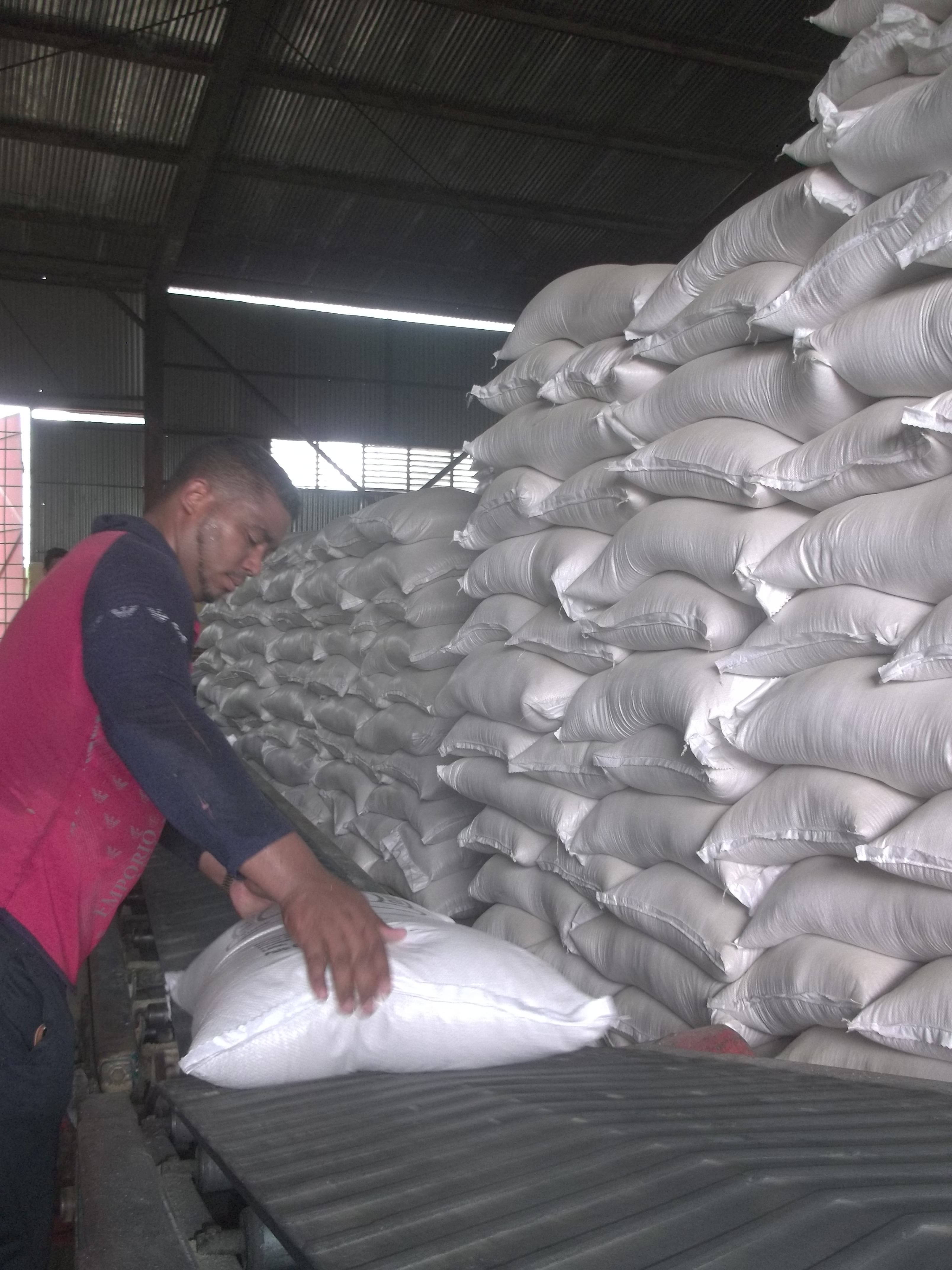 Los industriales no renuncian al cumplimiento del plan anual de 5 mil toneladas de arroz para el consumo de la población. Foto: José Luis Martínez Alejo