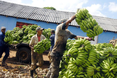 Festejos por los 80 de la CTC en Ciego de Ávila