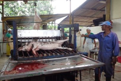 Día del Trabajador de la Industria Alimentaria: “Horneando” la eficiencia