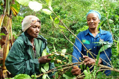 Petra, la jefa eterna de Las Tania