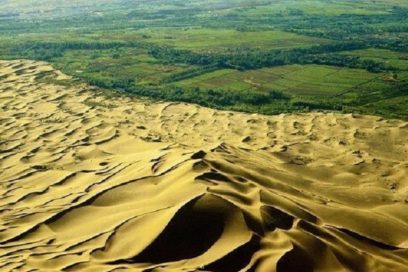 Desarrollan en África importante proyecto ecológico