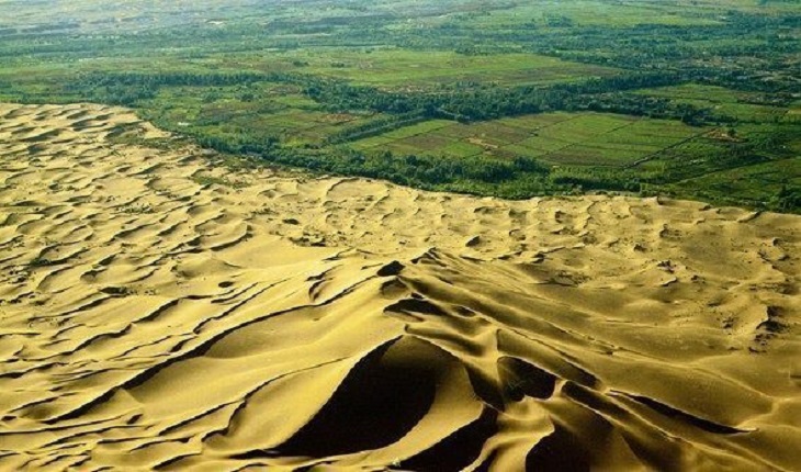 El desarrollo del proyecto está devolviendo la vida a los paisajes degradados de África. Foto: Tomada de ecoticias.com