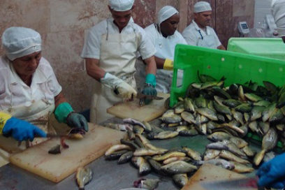 Plan hecho con ciencia y conciencia