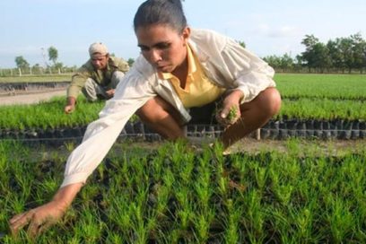 Guantánamo con excelentes resultados en la investigación científica