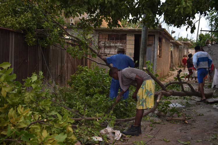 Barrio Cepero Bonilla en plena higienización.