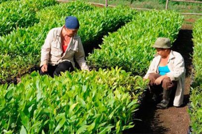 Rectificar es de sabios