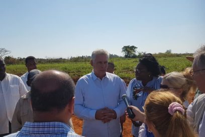 Díaz-Canel convoca a producción de calidad y diversificada (+Fotos)