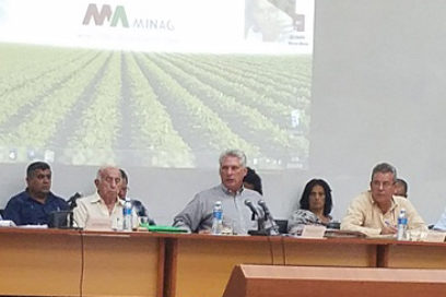 Díaz-Canel participa en balances anuales de la Agricultura y la Industria