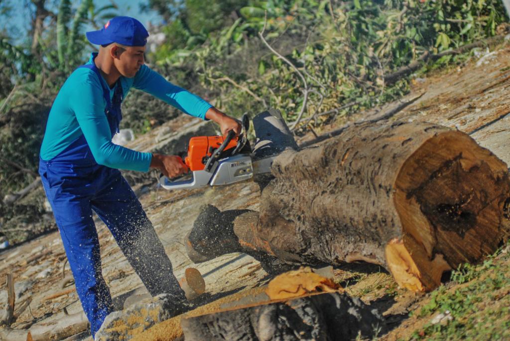 recuperación tras tornado, Comunales