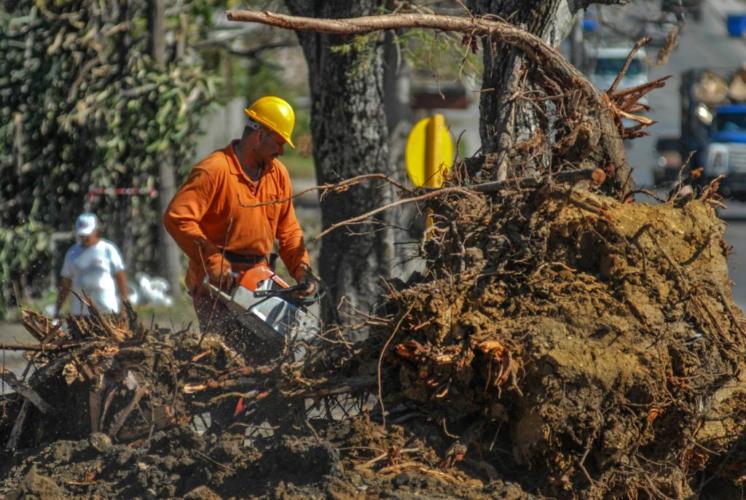 Yordi Richard Corría López es de esos héroes anónimos en la batalla por el restablecimiento de la capital. │Foto: Heriberto González Brito
