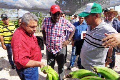 La zafra es una actividad estratégica para la nación (+ Fotos)