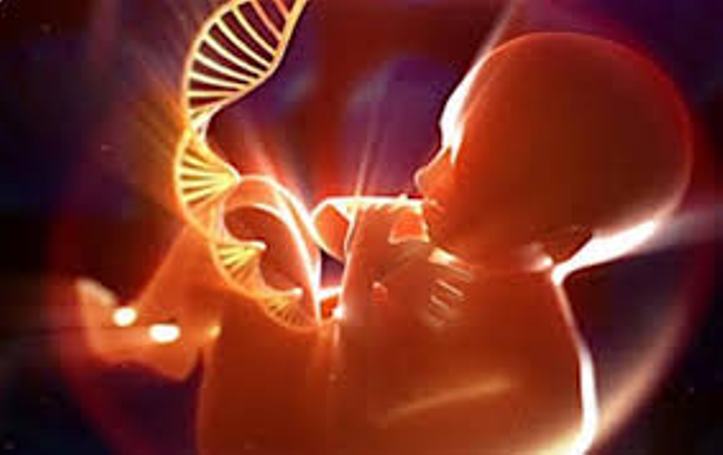 El diagnóstico prenatal ultrasonográfico es uno de los temas a debate en Santiago de Cuba.