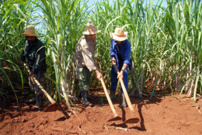 Con la ley: Pensiones y categorías Laborales