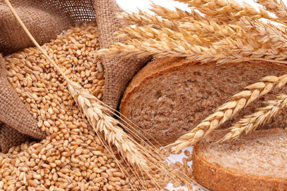 FAO: Pérdida de biodiversidad pone en peligro alimentación mundial