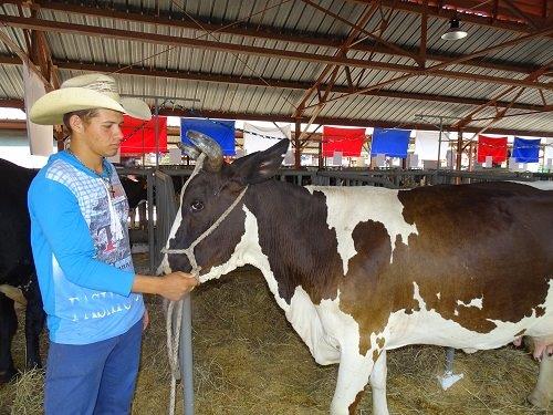 Pucha: la Gran campeona, Foto: Ana Margarita González