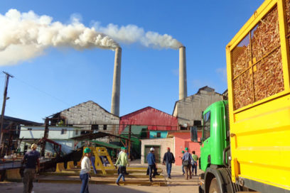 Sindicalistas avileños priorizan atención a la zafra