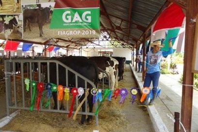 El Vapor arrasó en Fiagrop 2019 (+ Fotos)