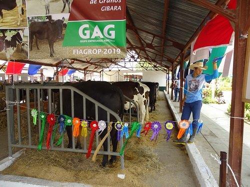 El Vapor ha conquistado varios premios en sucesivas ferias agropecuarias. Foto: Ana Margarita González