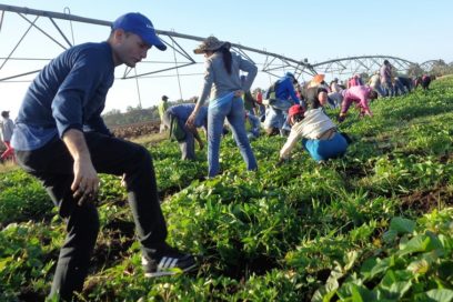 El saludo productivo de los trabajadores tuneros