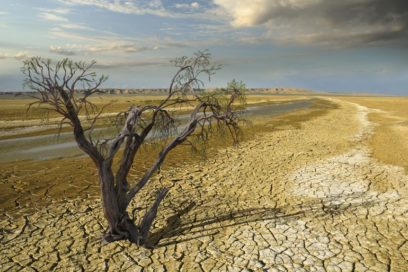 Cambio climático se reafirma como primera preocupación mundial