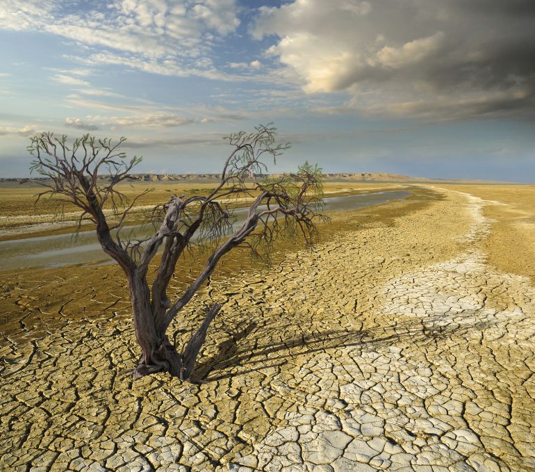 El cambio climático ocasiona fenómenos meteorológicos extremos que dañan severamente los suelos de cultivo. Foto: cadenaser.com