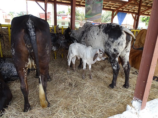 Foto: Ana Margarita González