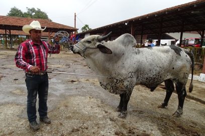 Fiagrop 2019: De premios y aniversarios