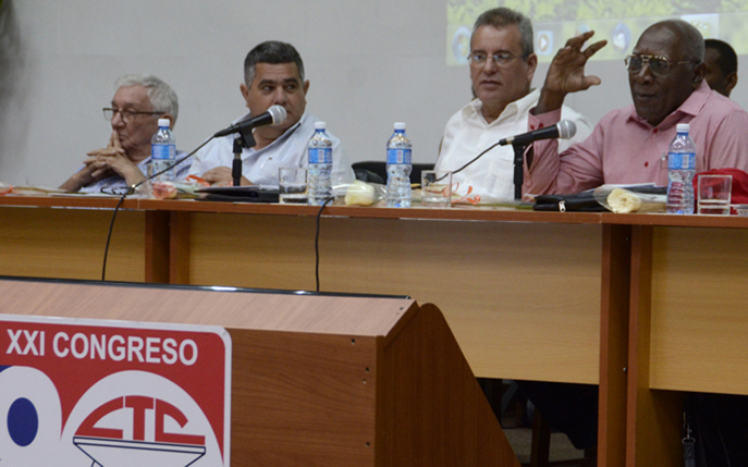 Foto: Joaquín Hernández Mena