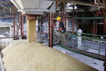 Ocho ingenios cumplen producción de azúcar