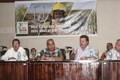El sector azucarero, estratégico en la economía nacional