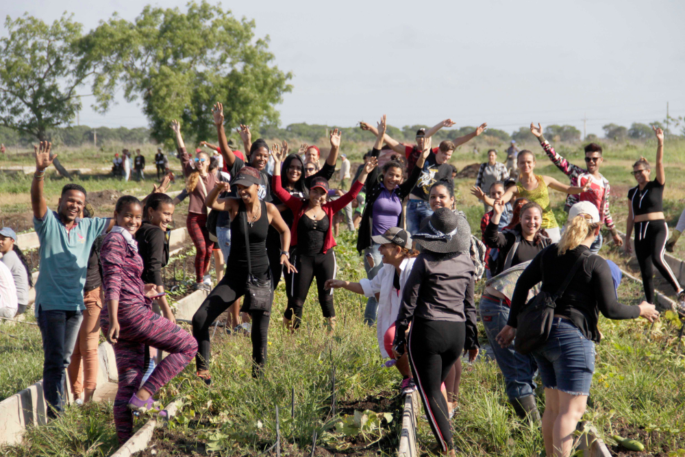 Con la alegría característica de la juventud se celebró un trabajo voluntario en el organopónico Tínima, junto a cientos de trabajadores para celebrar los aniversarios de la UJC y la OPJM, e iniciar la jornada por el Primero de Mayo. Foto: Alejandro Rodríguez Leiva