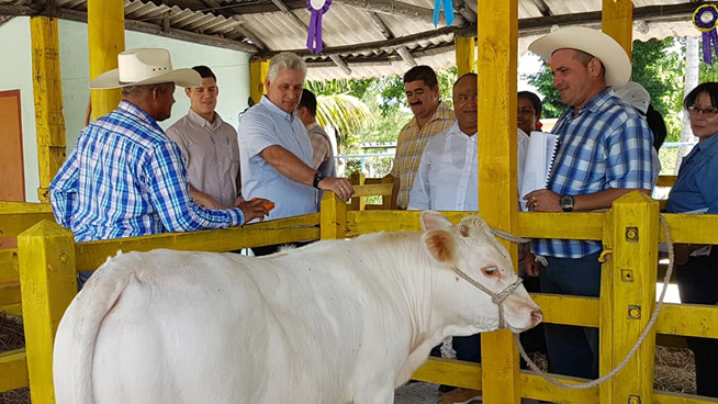 La primera parada fue en la empresa genética Manuel Fajardo. Foto: Tomada del del perfil de Facebook de Angélica Paredes