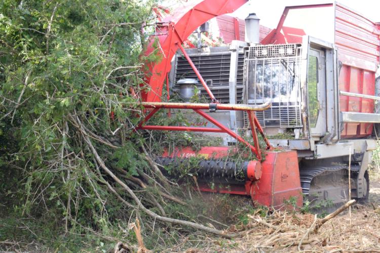 Empresa agropecuaria La Cuba, Ciego de Ávila