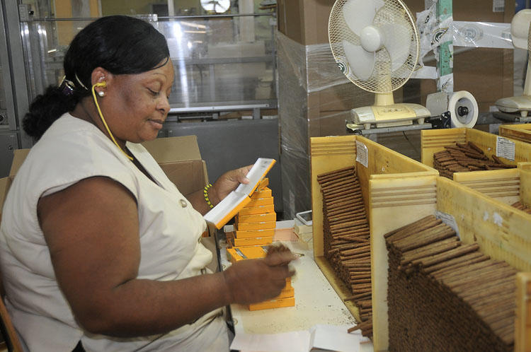 Foto: José Raúl Rodríguez Robleda