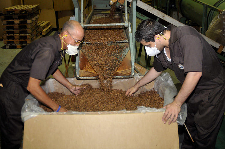 Foto: José Raúl Rodríguez Robleda