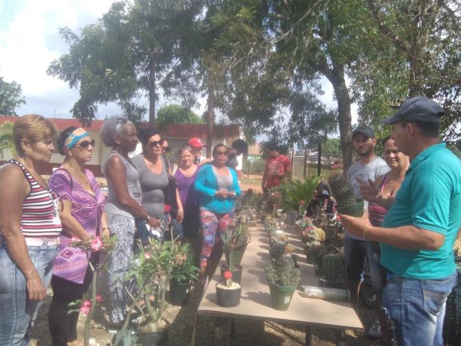 Cómo contribuir a la salud ambiental de la comunidad fue la actividad del proyecto EcoManosVerde en el meteoro 2019, en el centro de la provincia de Ciego de Ávila. Foto: José Luis Martínez Alejo