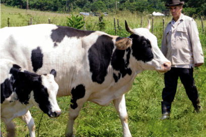 Gavac: el prestigio de una vacuna