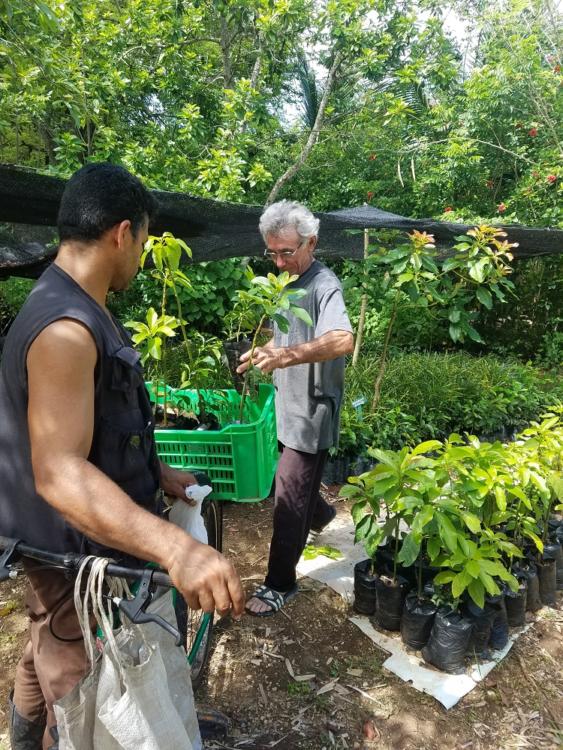 Combinación perfecta entre la vida humana y vegetal en los entornos de La Habana.| foto: Ana Margarita González