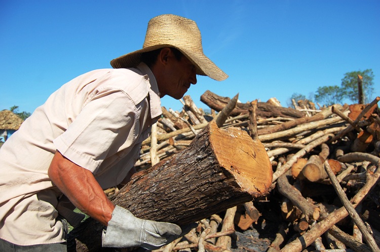 El esfuerzo es notable. Todas las faenas son duras. / Foto: Modesto Gutiérrez, ACN.