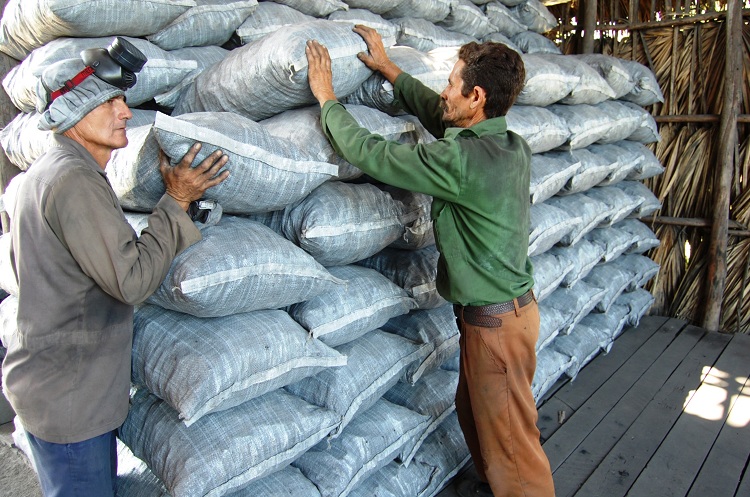Listo para exportar. / Foto: Modesto Gutiérrez, ACN.