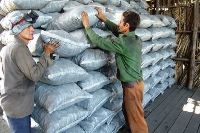 Villa Clara: nuevos rubros exportables (+ Fotos)