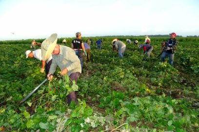 Granma continúa por más