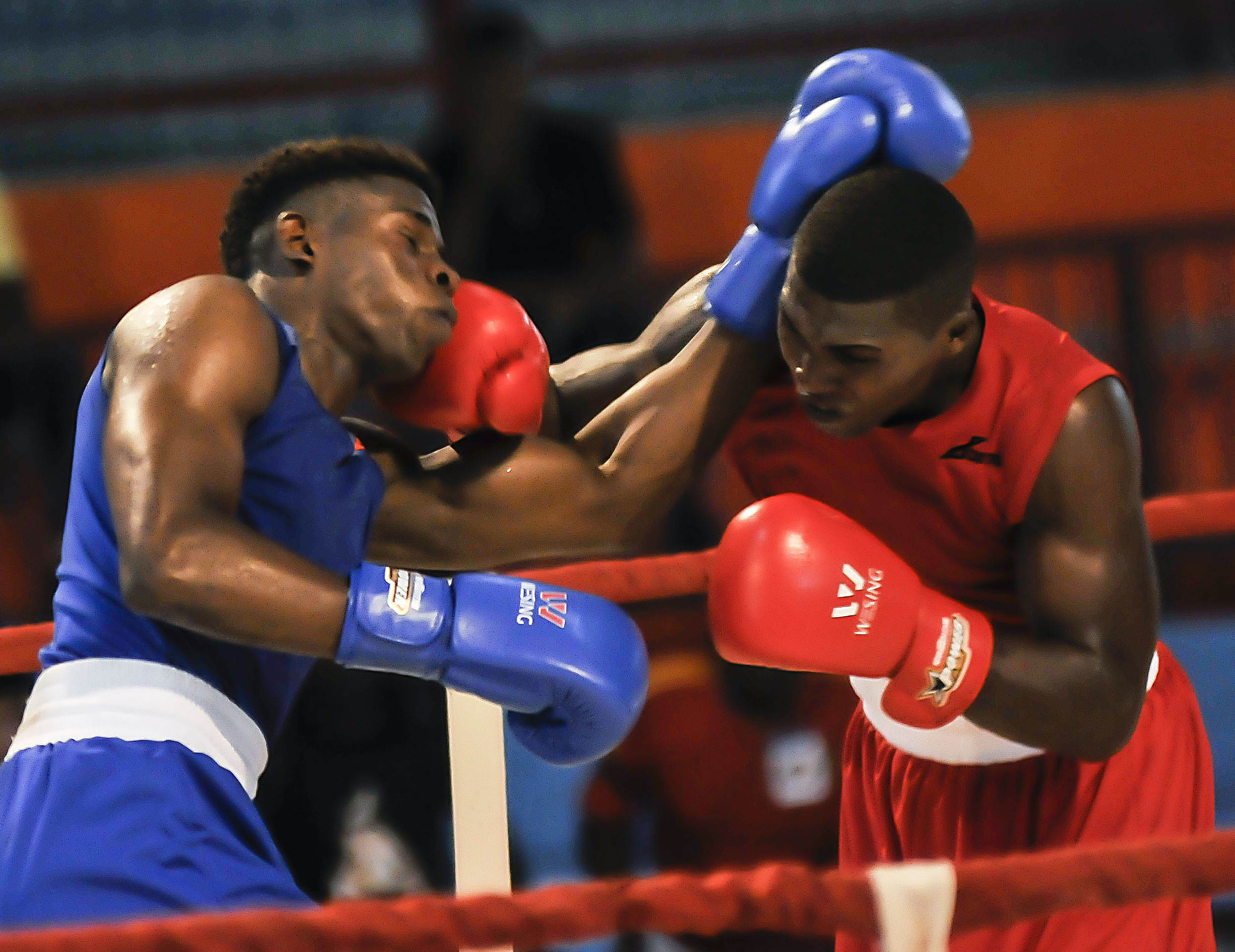 El boxeo es clave para Cuba en citas multideportivas. Foto José Raúl Rodríguez Robleda