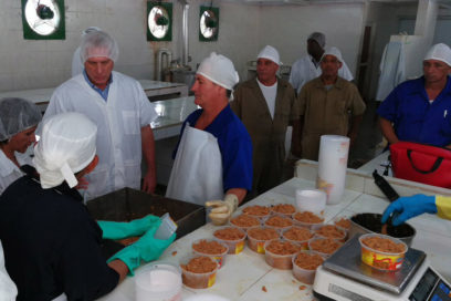 Cuban President Focused on Food Production in Camagüey